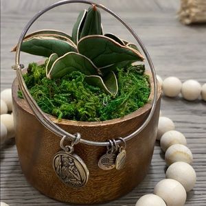 Alex and ani bracelet